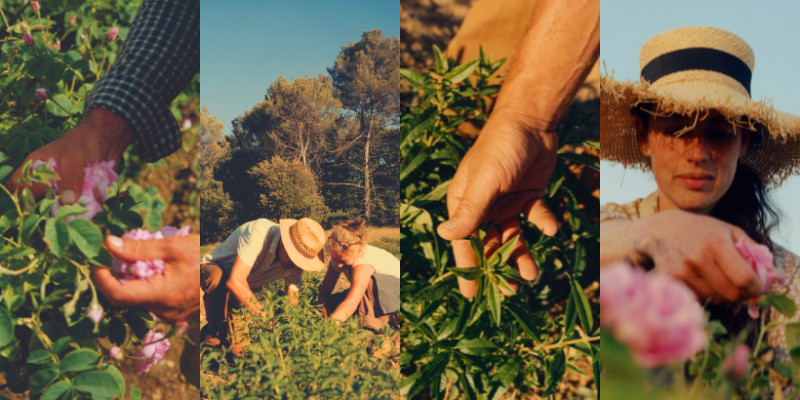 Why fair-trade is the cornerstone of regenerative farming